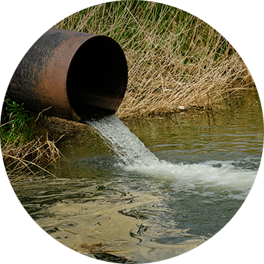 분석신청서 이미지01